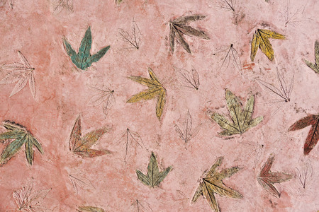 Maple leaves print on red color concrete background.の写真素材