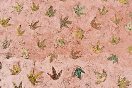 Maple leaves print on red color concrete background.の写真素材