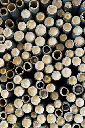 Cutting wood background for decorate.の写真素材