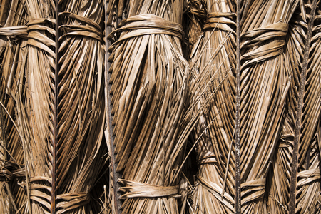 Dried coconut leaves. Background and texture.の写真素材