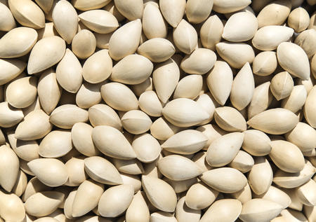 Ginkgo nuts, Ginkgo biloba, Ginkgo seeds.の写真素材