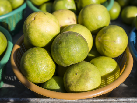 Fresh green lemons in the market.の写真素材