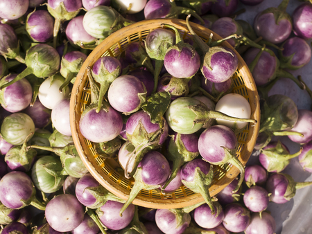 Various types of eggplant, aubergine, green eggplant, white eggplant, purple eggplant in the market.の写真素材