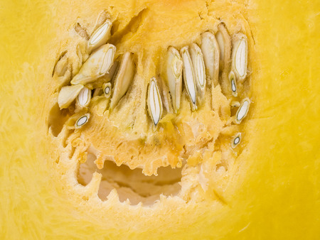 Close-up ripe pumpkin slices with seeds.の写真素材