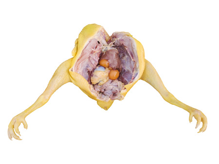 Fresh chicken entrails isolated on white background.の写真素材