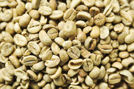 Parchment coffee, Coffee beans dried in the sun. (Center focus)の写真素材