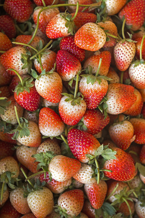 Fresh Ripe Perfect Strawberry - Food Frame Background. (Selective Focus)の写真素材