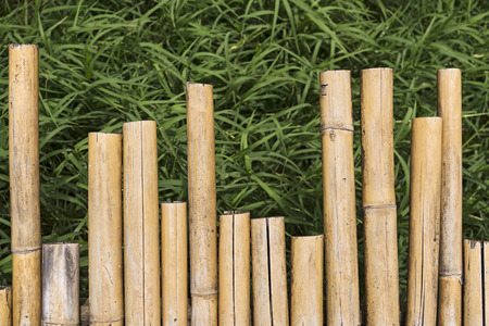 Bamboo Floor on Green Grass. (Top View)の写真素材