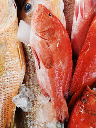 Selective focus of fresh and raw red banded grouper fish in marketの写真素材