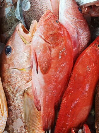 Selective focus of fresh and raw red banded grouper fish in marketの写真素材