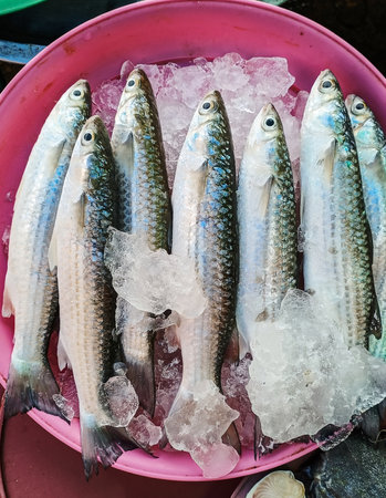 Fresh fish on ice in the market, Thailand. Top view.の写真素材