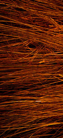Red orange color of sharp needle-like structure of coconut fiber with dark backgroundの写真素材