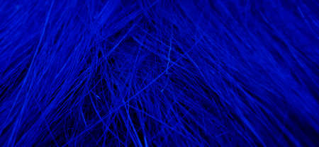 A false blue color of irregular sharp needle-like coconut fiber view with a dark background. Poster and wallpaper background design concepts. Suitable for business and company presentation.の写真素材