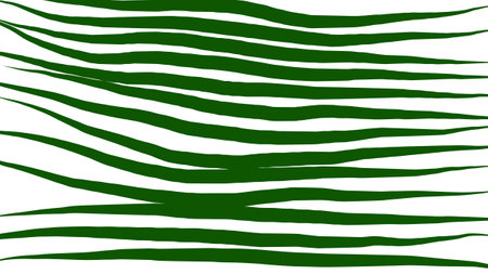 Beautiful abstract line pattern of tiger or zebra skin texture.の写真素材