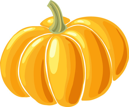 Yellow pumpkin drawing close-up on white backgroundのイラスト素材