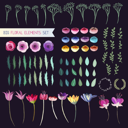 Big set of hand drawn floral elementsのイラスト素材