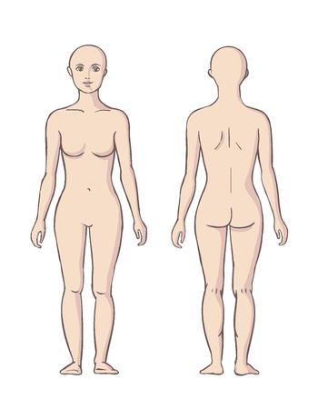 Woman body front and back  illustrationのイラスト素材