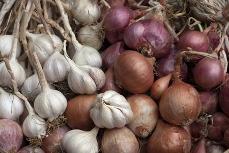 Garlic and red onions.の写真素材