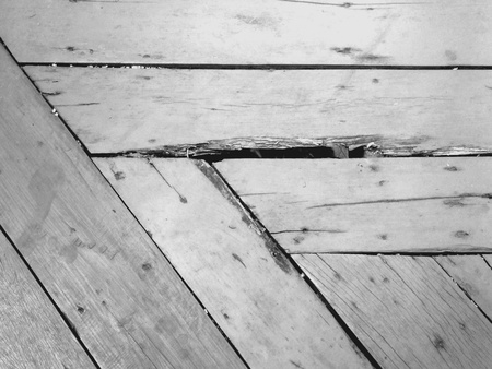 Nature of wood