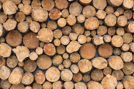 wood logsの写真素材