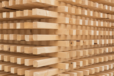 wood pilesのeditorial素材