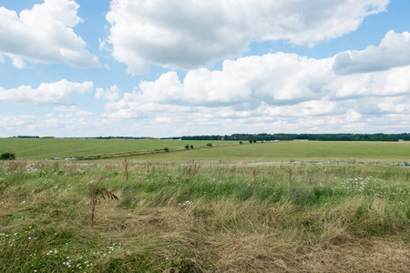 grass field with blue sky. rural landscapeの写真素材