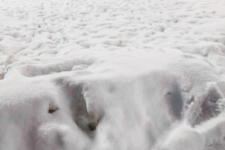 Close up of Snow Texture
