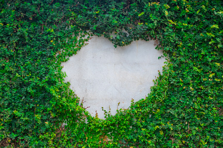Heart shaped, old brick wall covered by green plant