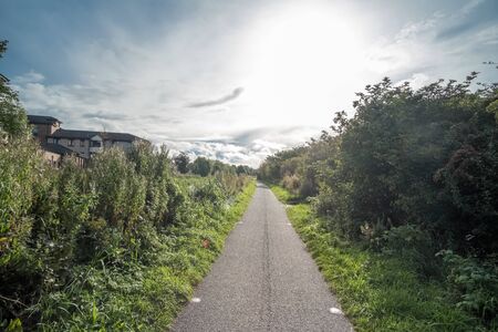 Walkway Path With Green Trees along the way