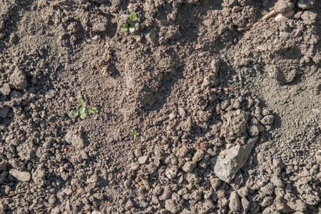soil plain texture for background