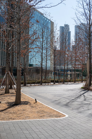 View of the walkway in the park with tree during winterの写真素材