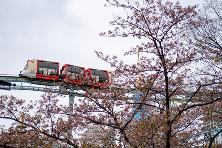 Seoul, South Korea - 4 April 2023: Monorail at the castle in Magic Land, an outdoor amusement park of Lotte World with cherry blossom on the foregroundのeditorial素材