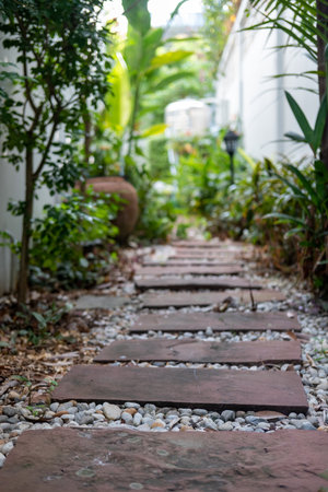 Stone path in the backyard garden with trees along the sidesの写真素材
