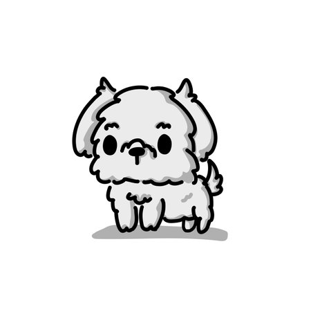 Cute Maltese White Puppy Cartoon Vector, for design, banner,のイラスト素材