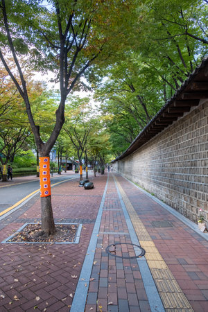 Seoul, South Korea - 10 October 2022: Deoksugung Stonewall Walkway, the pedestrian footpath that runs next to Deoksugung Palace in Seoul, South Koreaのeditorial素材