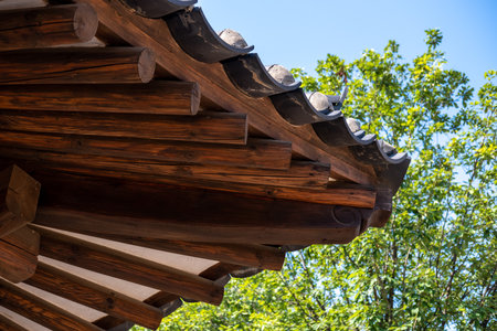 Close-up of Korean style traditional roof with greenery in the background