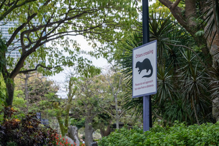 An Otter crossing signage in Garden by the Bay, Singaporeの写真素材