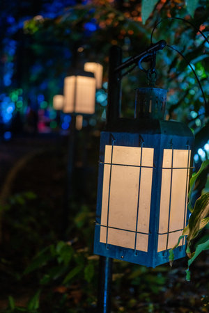 Decorative glowing lantern in the garden walkway at nightの写真素材