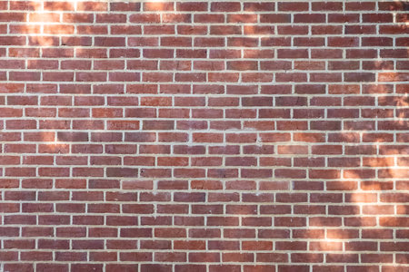 Brick wall pattern texture. With light and shadow from the tree branchの写真素材
