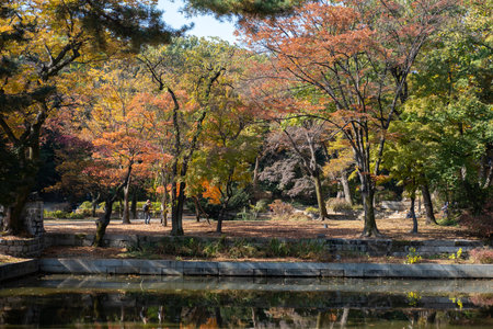 Beautiful autumn foliage in Secret Garden or Huwon of Changdeokgung Palace. It was used as a place of leisure by members of the royal familyの写真素材