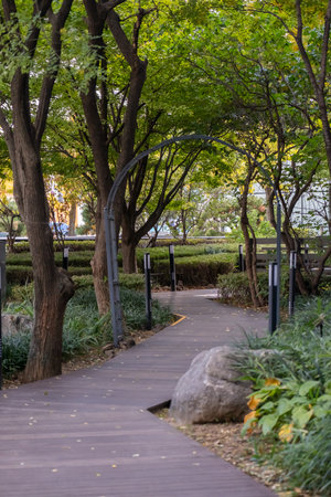 View of timber walkway in the public Park with bollards along the way, with colorful leaves tree, autumn foliage on the backgroundの写真素材