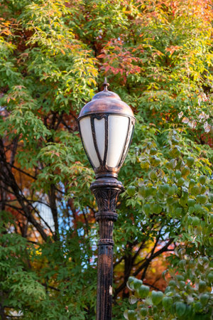 Lamp post with colorful leaves, autumn foliage on the backgroundの写真素材