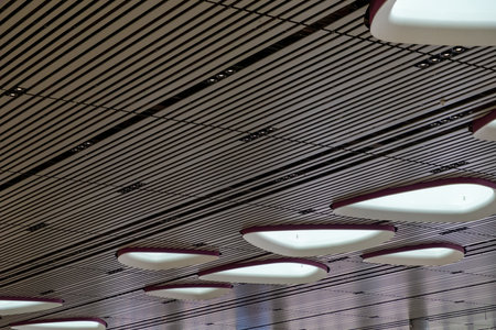 Petal-shaped skylights and modern ceiling light for public area in Changi Airport terminal 4, Singaporeの写真素材