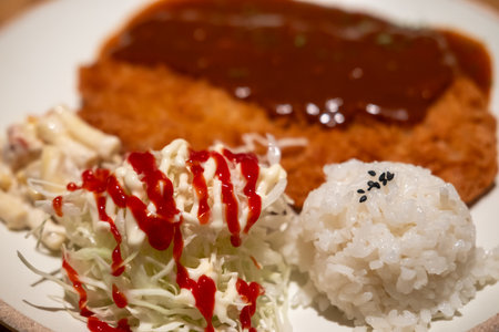 Tonkatsu, Fried Pork Loin Cutlet serve on plate with rice and cabbageの写真素材