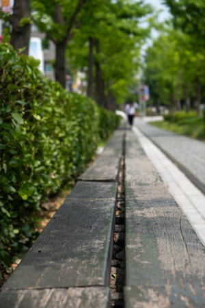 Close up of wooden bench, with tree on the background in public parkの写真素材
