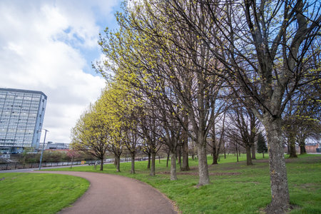 People walking in Glasgow Green. It is the oldest public park in Glasgow, United Kingdom.の写真素材