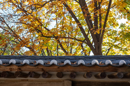 Korean Traditional Building in Secret Garden or Huwon of Changdeokgung Palace with ceautiful autumn...