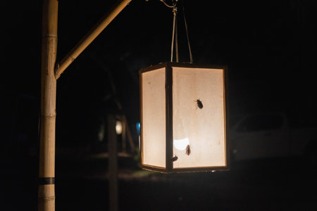 Bamboo lamp post, at nightの写真素材