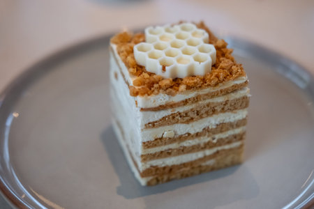 Medovik, Russian and Soviet honey cake served on plate in the cafeの写真素材