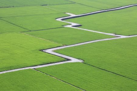 Beautiful country scenery of rice paddy, country roads winding through the green rice fieldの写真素材